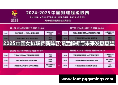 2025中国女排联赛新阵容深度解析与未来发展展望