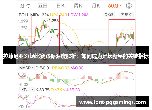 拉菲尼亚37场比赛数据深度解析：如何成为足坛新星的关键指标