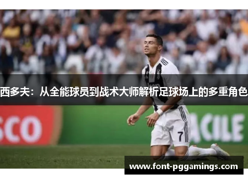 西多夫：从全能球员到战术大师解析足球场上的多重角色