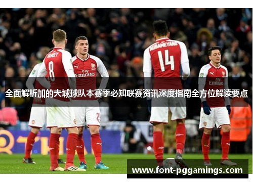 全面解析加的夫城球队本赛季必知联赛资讯深度指南全方位解读要点 全面解析加的夫城球队本赛季必知联赛资讯深度指南全方位解读要点