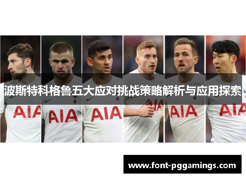 波斯特科格鲁五大应对挑战策略解析与应用探索